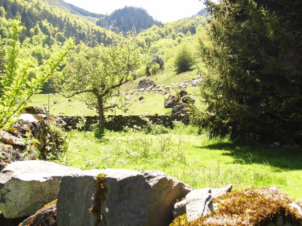 Gite Auberge Les Cascades La Mongie Exterior foto